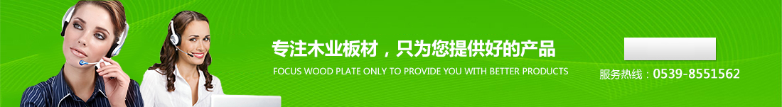 二甲胺基乙基羥乙基醚，確保泡沫具有均勻細(xì)密的泡孔和結(jié)構(gòu)穩(wěn)定性